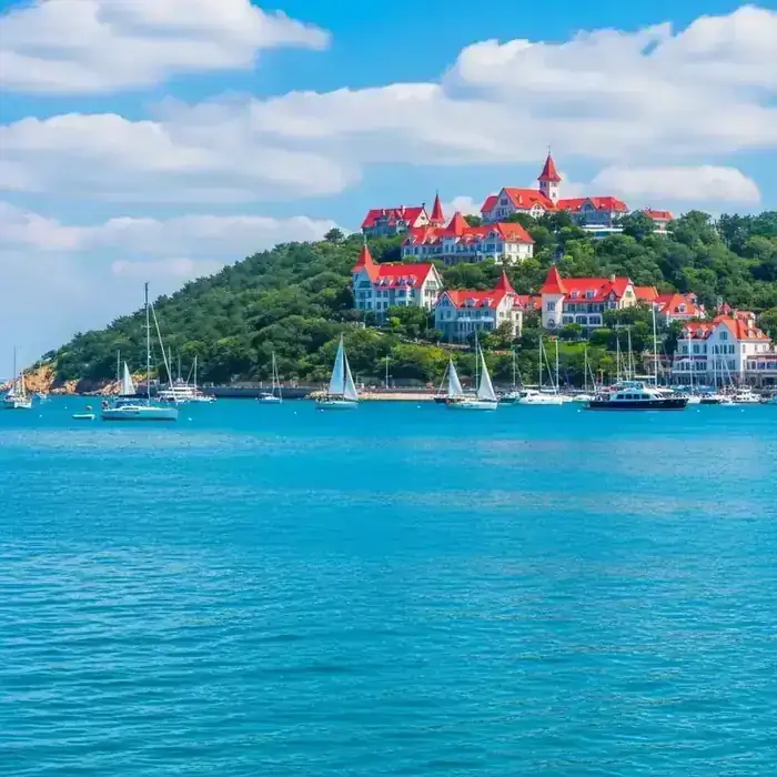 تحصیل در Qingdao، شهر بندری آرام چین
